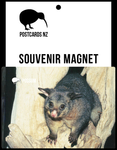 MGI098 - Possum - Magnet - Postcards NZ Ltd