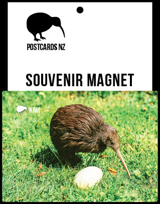 MGI101 - Kiwi - Magnet - Postcards NZ Ltd