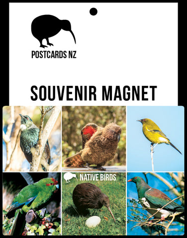 MGI102 - Native Birds - Magnet - Postcards NZ Ltd
