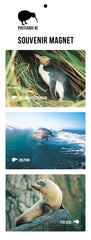 MGI5907 - Wildlife Magnet Set - Postcards NZ Ltd