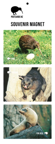 MGI5944 - Wildlife Magnet Set - Postcards NZ Ltd