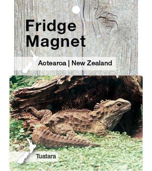 MGI110 - Tuatara - Magnet - Postcards NZ Ltd