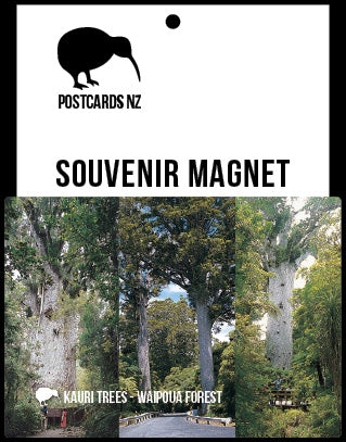 MNO164 - Kauri Trees - Magnet - Postcards NZ Ltd