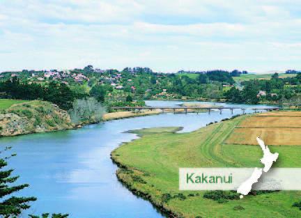 MOT180 - View Of Kakanui - Magnet - Postcards NZ Ltd