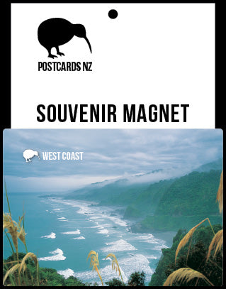 LWE166 - South Westland Salmon - Large Postcard