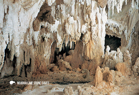 SNE738 - Ngarua Lime Stone Cave - Small Postcard - Postcards NZ Ltd