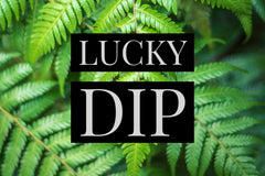 Lucky Dip 10 Postcard Set - Postcards NZ Ltd