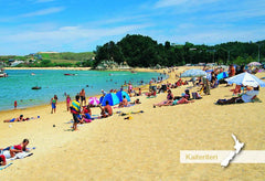 SNE721 - Kaiteriteri Beach - Small Postcard - Postcards NZ Ltd