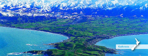 PCM102 - Mt Cook and Lupins - Panoramic Magnet