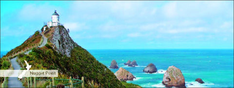 MOT509 - Nugget Point - Panoramic Magnet - Postcards NZ Ltd
