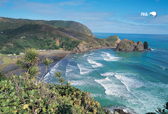 SAU118 - Piha Beach From Lion Rock - Small Postcard - Postcards NZ Ltd