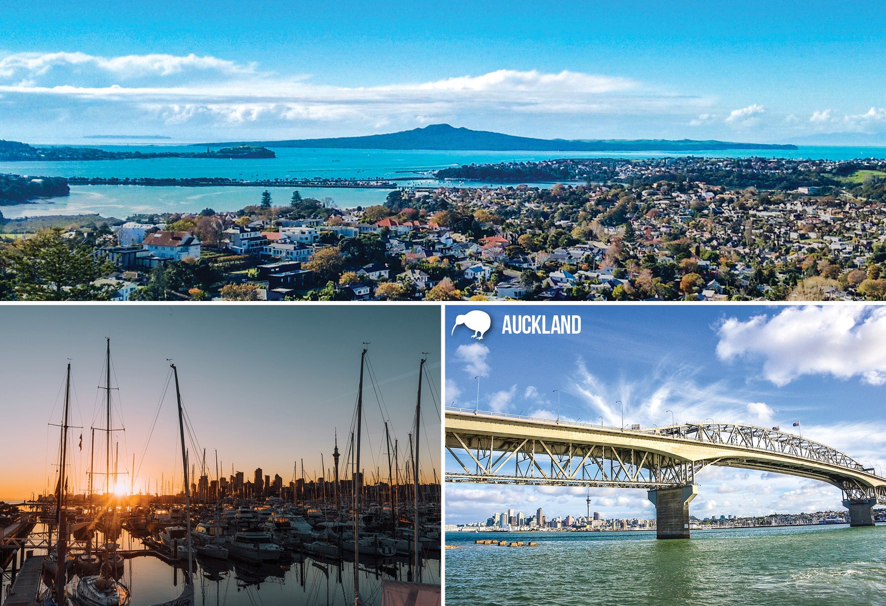 SAU121 - Auckland Harbour - Small Postcard - Postcards NZ Ltd