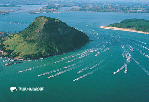 SBP193 - Sports Fishing Boats - Small Postcard - Postcards NZ Ltd