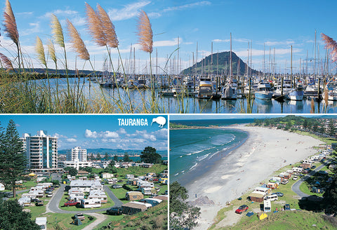 SBP197 - Tauranga - Ocean Beach Multi - Small Postcard - Postcards NZ Ltd