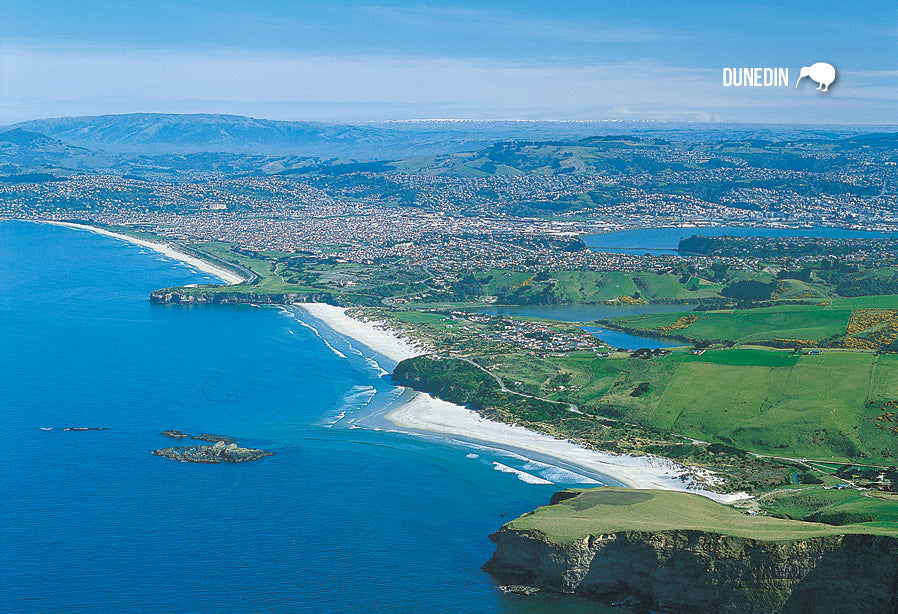 SDN460 - Aerial Tomahawk Beach - Small Postcard - Postcards NZ Ltd