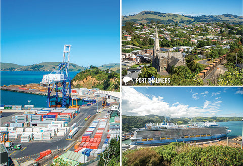 SDN468 - Port Chalmers Multi - Small Postcard - Postcards NZ Ltd