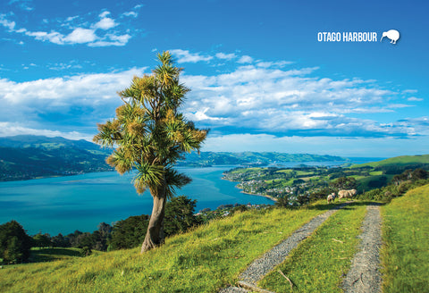SDN87 - Otago Harbour - Small Postcard - Postcards NZ Ltd
