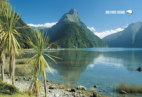 SFI40 - Mitre Peak Milford Sound - Small Postcard - Postcards NZ Ltd
