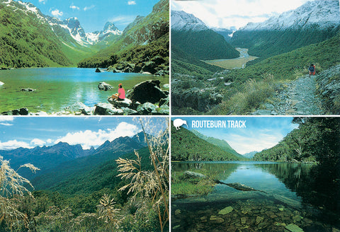 SFI66 - Routeburn Track Multi - Small Postcard - Postcards NZ Ltd