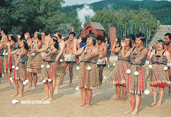 SGI484 - Maori Concert Party - Small Postcard - Postcards NZ Ltd