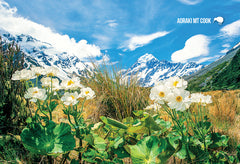 SMC348 - Mount Cook Buttercup - Small Postcard - Postcards NZ Ltd