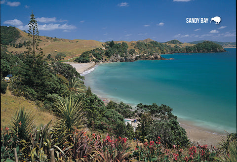SNO685 - Sandy Bay, Tutukaka Coast, Northland - Small Postc - Postcards NZ Ltd