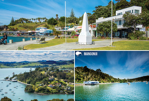 SNO798 - Mangonui Multi - Small Postcard - Postcards NZ Ltd