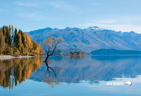 SOT400 - Central Otago, Lake Wanaka In Autumn - Small Postcard - Postcards NZ Ltd