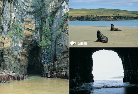 SOT477 - Cathedral Cave, Catlins - Small Postcard - Postcards NZ Ltd