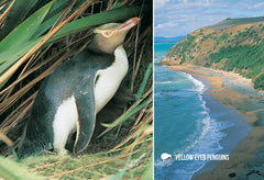 SOT779 - Bushy Beach From Lookout - Small Postcard - Postcards NZ Ltd