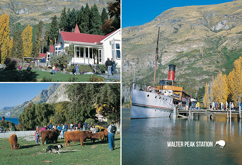 SQT2 - Walter Peak Station, Lake Wakatipu - Small Postcar - Postcards NZ Ltd