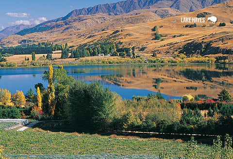 SQT841 - Lake Hayes Vineyard - Small Postcard - Postcards NZ Ltd