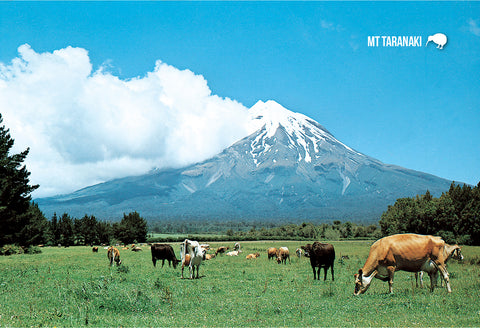 STA921 - Mt Egmont - Small Postcard - Postcards NZ Ltd