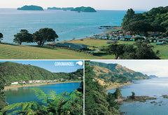 SWA561 - Coromandel Multi - Small Postcard - Postcards NZ Ltd