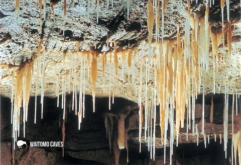 SWC942 - Limestone Straws Waitomo Caves - Small Postcard - Postcards NZ Ltd