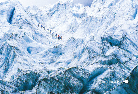 SWE1033 - Glacier Tramp - Small Postcard - Postcards NZ Ltd