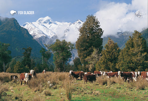SWE1035 - Mt Tasman And Cattle - Small Postcard - Postcards NZ Ltd