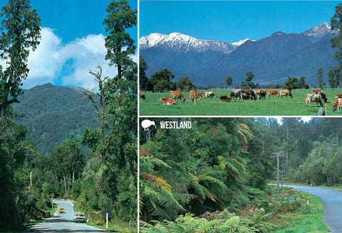SWE1043 - Scenic Westland - Small Postcard - Postcards NZ Ltd