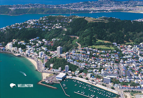SWG1004 - Oriental Bay, Wellington, Aerial - Small Postcard - Postcards NZ Ltd