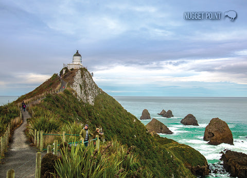 LOT204 - Nugget Point - Large Postcard - Postcards NZ Ltd