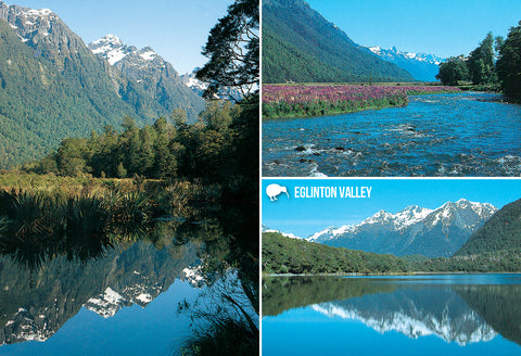 SFI65 - Eglinton Valley Fiordland - Small Postcard - Postcards NZ Ltd