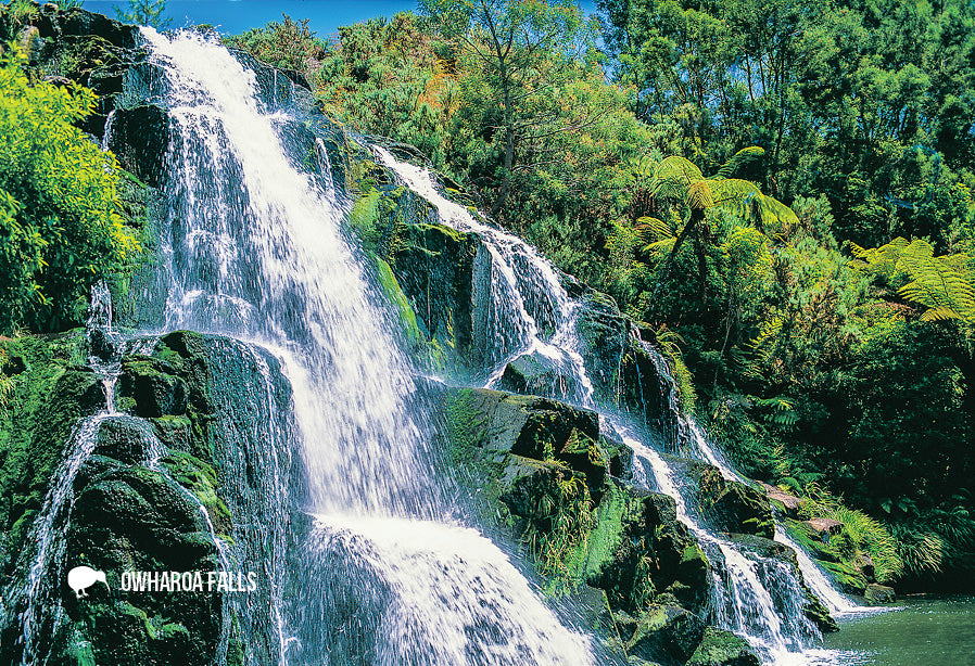 SWA551 - Owharo Falls, Coromandel - Small Postcard - Postcards NZ Ltd