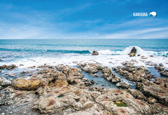 SCA634 - Kaikoura Coast - Small Postcard - Postcards NZ Ltd