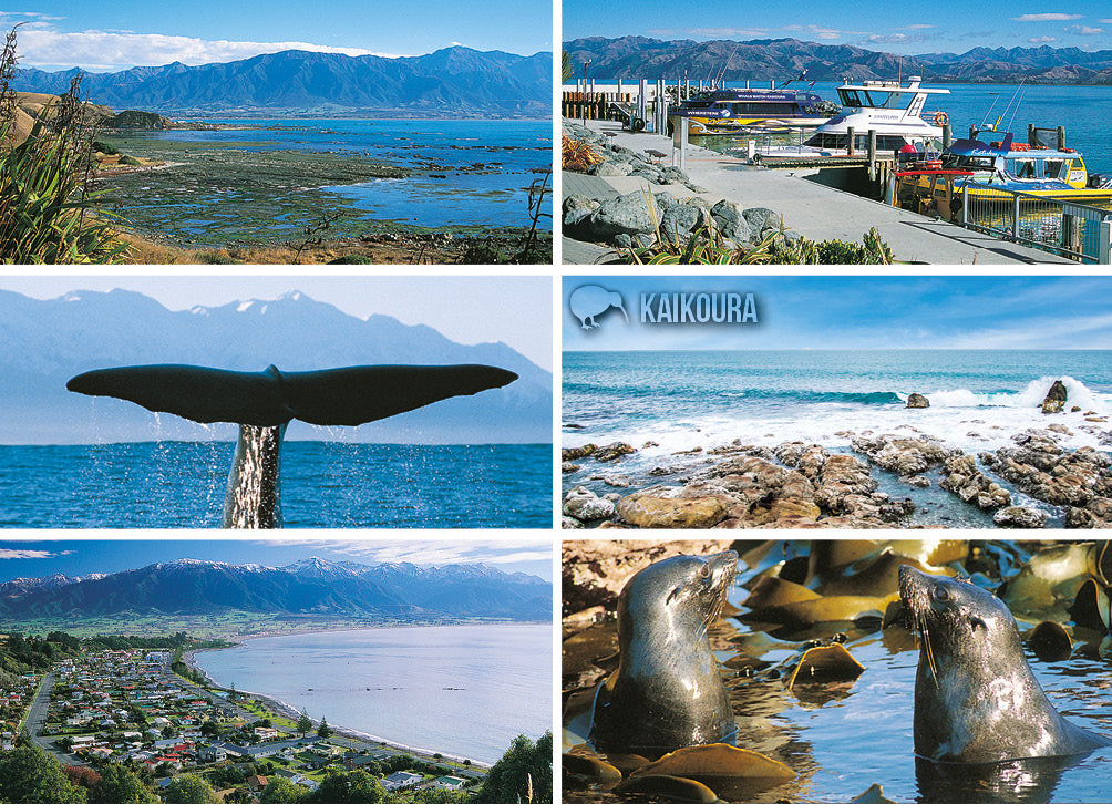 LCA048 - Kaikoura 6 View Multi - Large Postcard - Postcards NZ Ltd