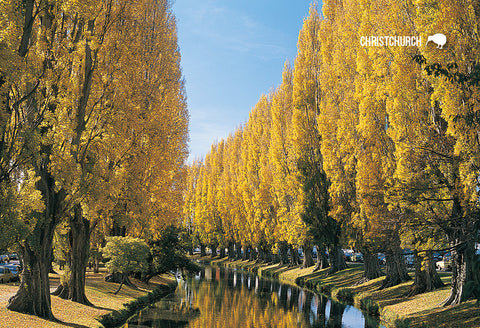 SCA281 - Autumn Avon River, Christchurch  - Small Postcard - Postcards NZ Ltd