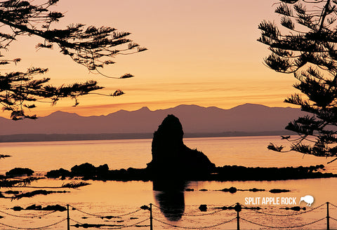 SNE727 - Sunset At Fifeshire Rock, Nelson - Small Postcard - Postcards NZ Ltd