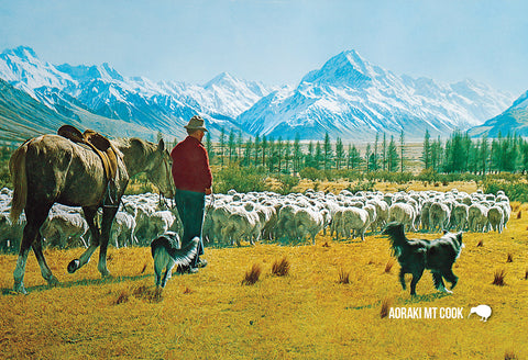 SFI669 - Sheep Lake Te Anau - Small Postcard